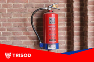 artikel - pt trisod (2)